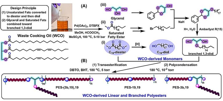 El aceite de cocina usado permite la obtención de un adhesivo de alta resistencia y plásticos reciclables